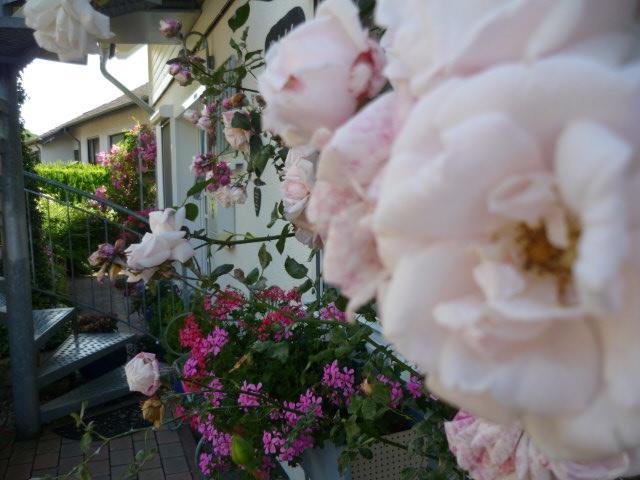 Gastehaus Rosengarten Im Nahetal Kirn ภายนอก รูปภาพ